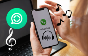 Improve your Status: Music on Whatsapp! Being in constant contact with friends and family through Whatsapp is a reality experienced by millions of people around the world.