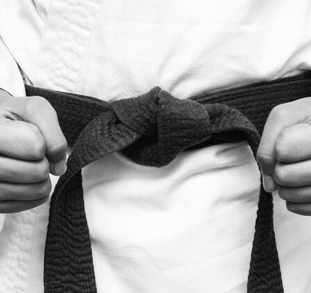 Domine o Karate com estes apps! Você já imaginou que poderia começar a aprender karatê sem sair de casa? 🥋💪 Na era digital, a praticidade